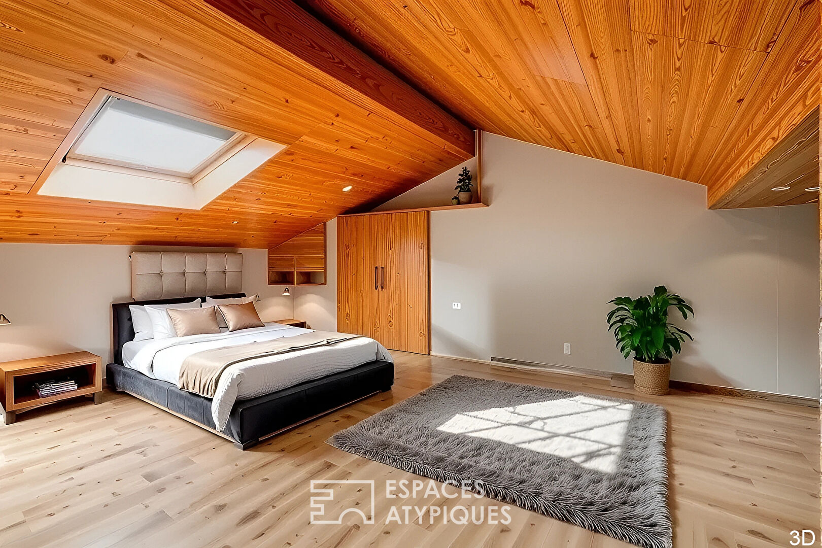 Duplex T5/T6 en dernier étage