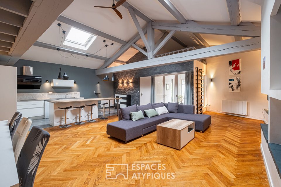 Grand loft familial en plein centre de Jonage