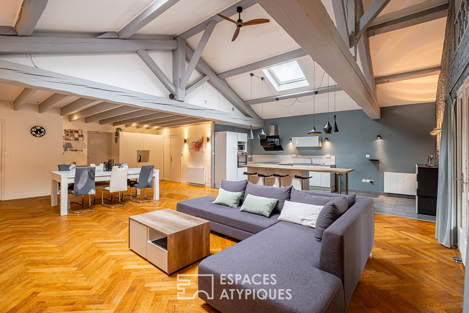 Grand loft familial en plein centre de Jonage