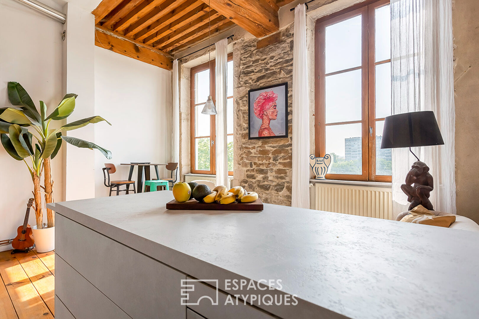 Canut rénové avec ascenseur