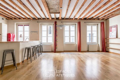 Duplex en dernier etage au coeur de la Préfecture