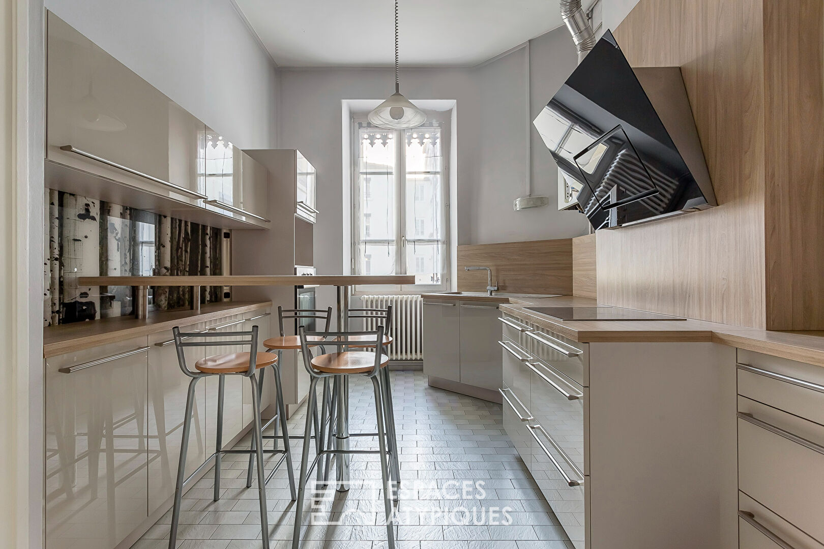 Appartement haussmannien bord du Rhône