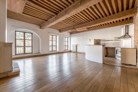 Appartement plein de cachet avec vue sur la Saône