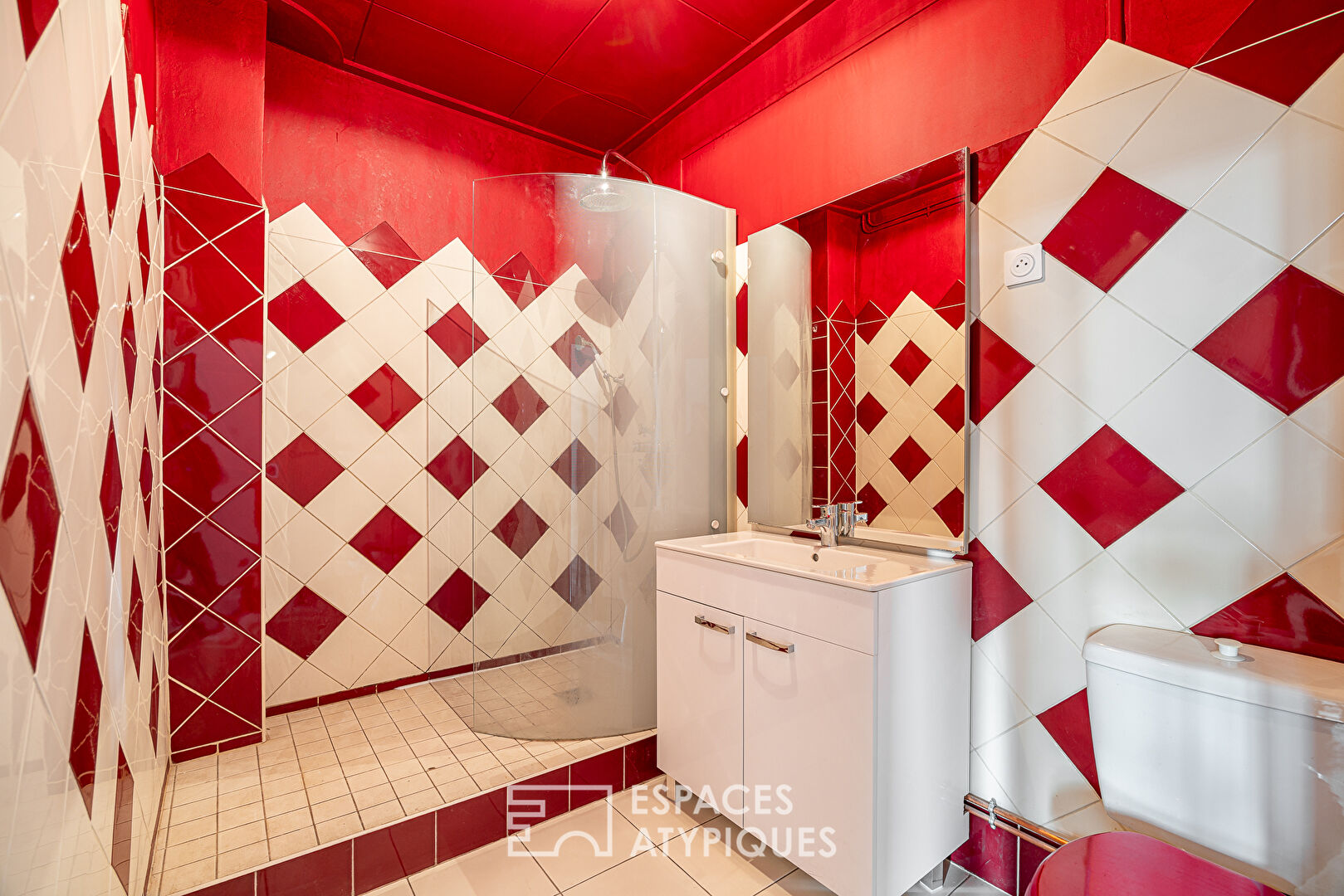 Haussmannian style for a professional practice