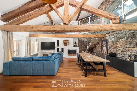 Duplex ancien rénové dans le centre Vienne