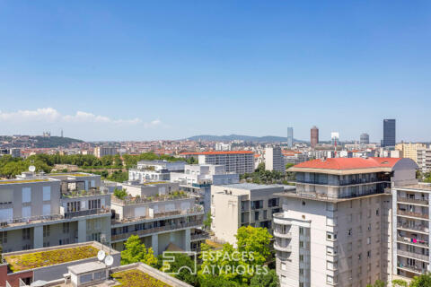 Toit terrasse avec vue
