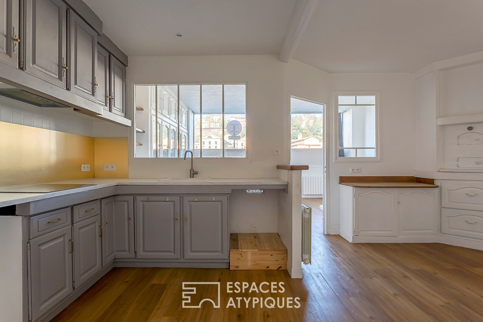 Appartement ou Local commercial en bord de Saône,  avec une grande cave privative