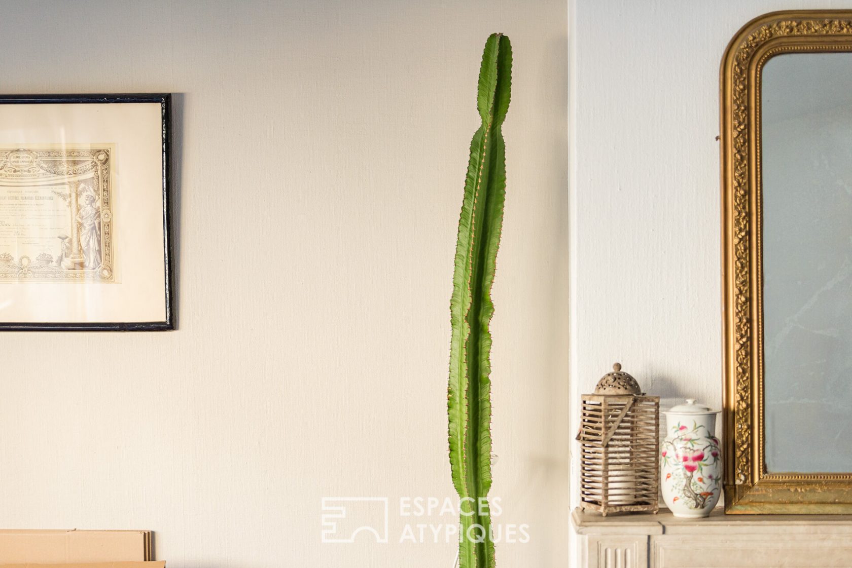 Duplex apartment with terrace in the city center