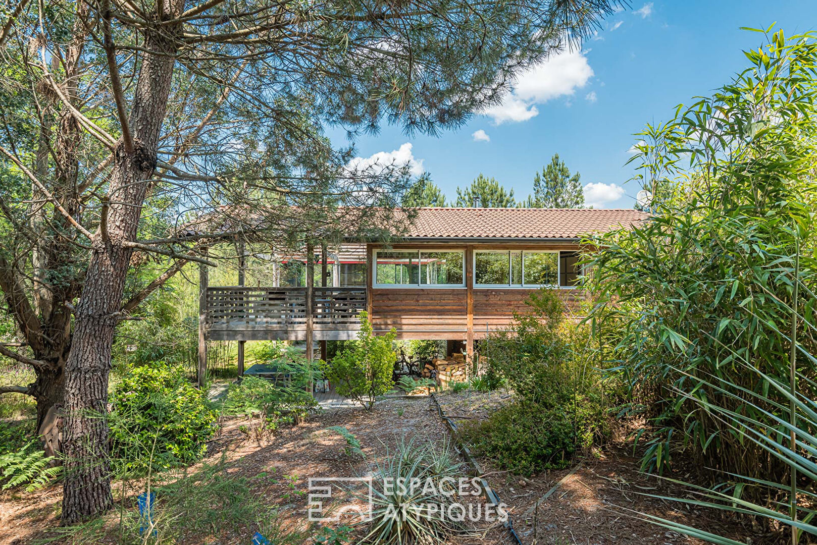 Architect’s wooden house on stilts