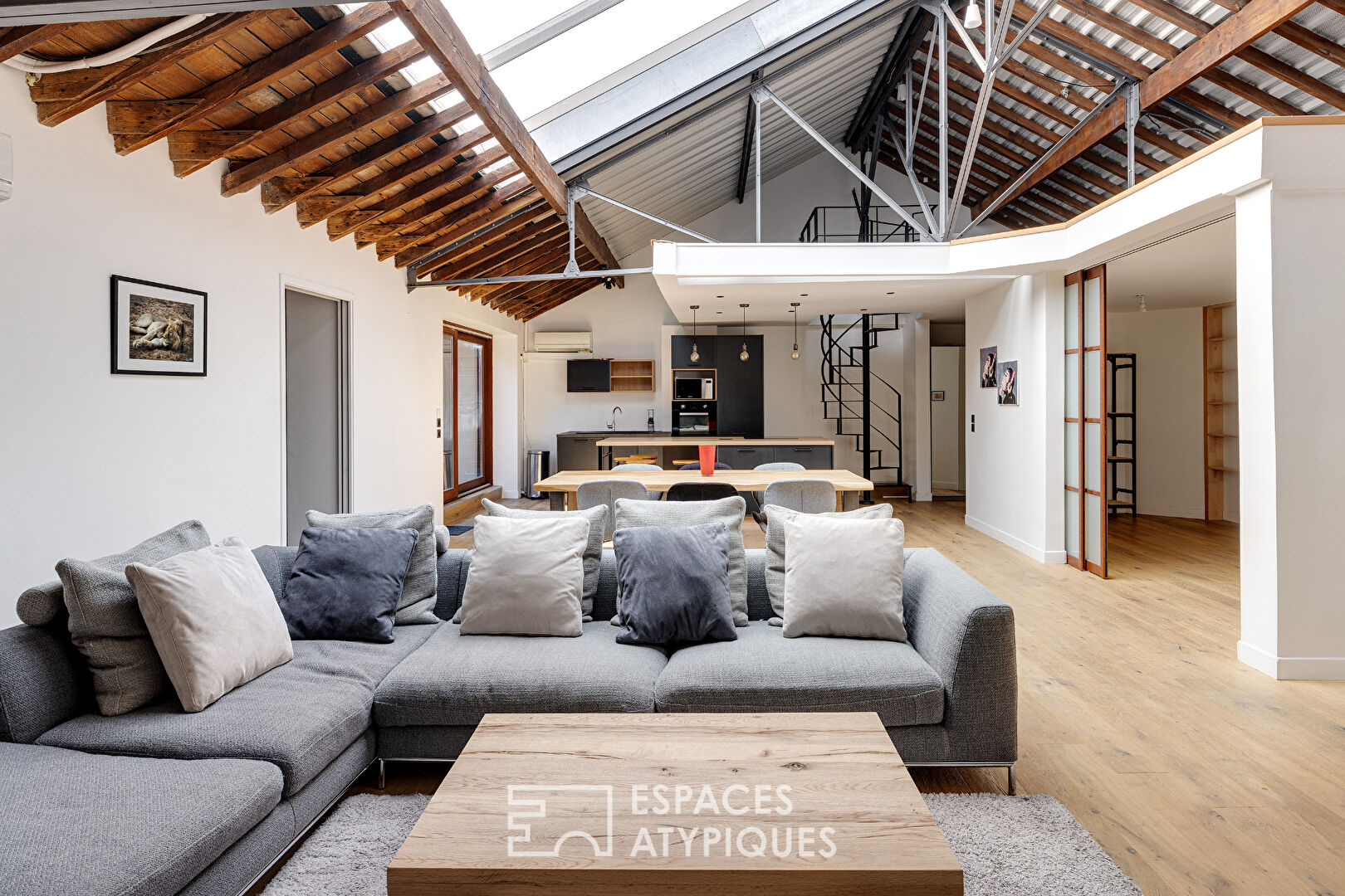 Loft avec terrasse