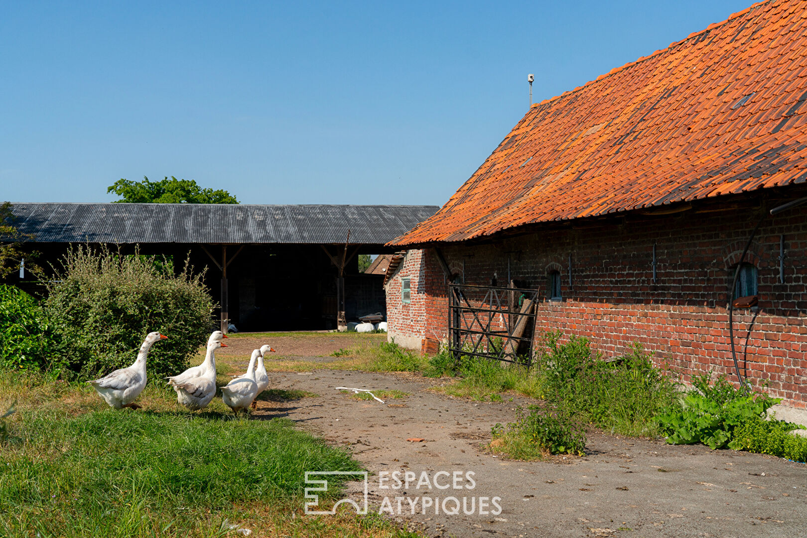 Ferme à restaurer Bondues