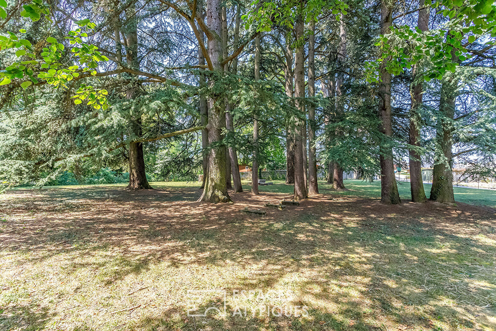 Duplex singulier dans un Château avec un parc arboré