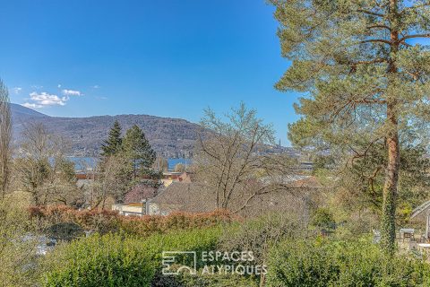 Beautiful house with view and garden