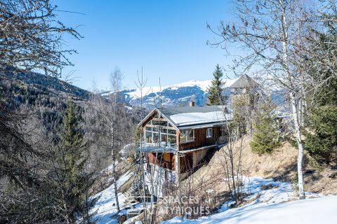 Exceptional chalet facing the peaks
