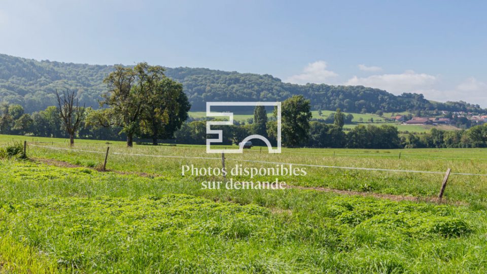 Grange mitoyenne à transformer aux portes de Genève