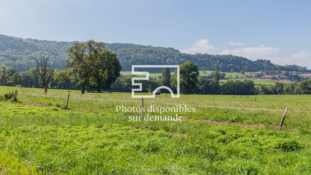 Grange mitoyenne à transformer aux portes de Genève