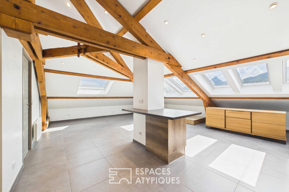 Appartement mansardé avec jardin proche du lac