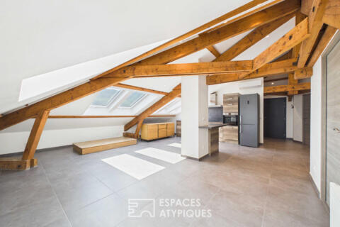 Appartement mansardé avec jardin proche du lac