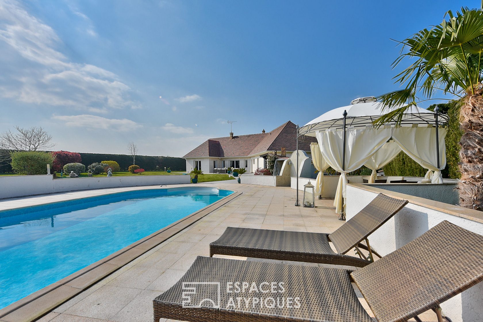 Architect house with swimming pool