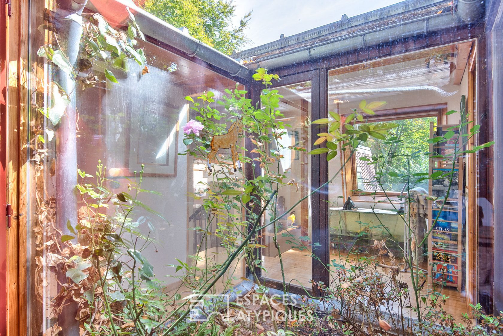 Architect house on the edge of the woods