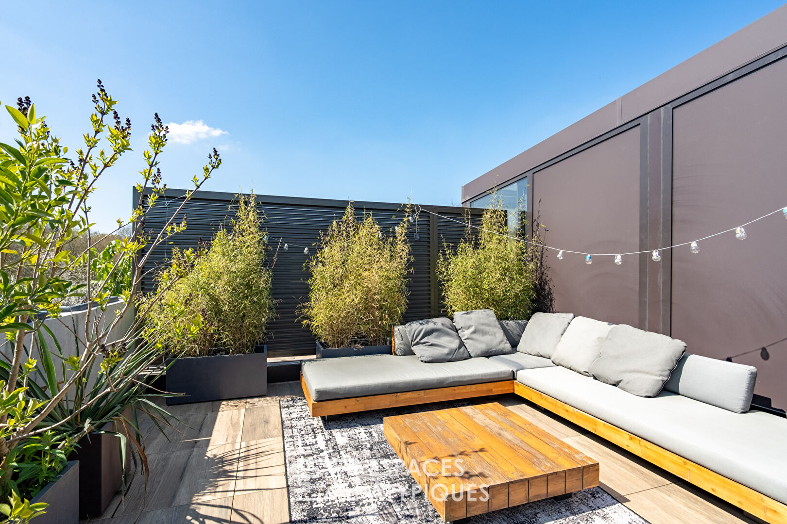 Triplex avec Rooftop