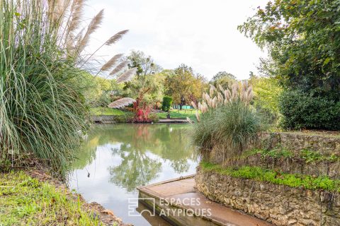 Calm on the banks of the Seine, volume and brightness: Potential to be revealed on the island of Vaux-sur-Seine