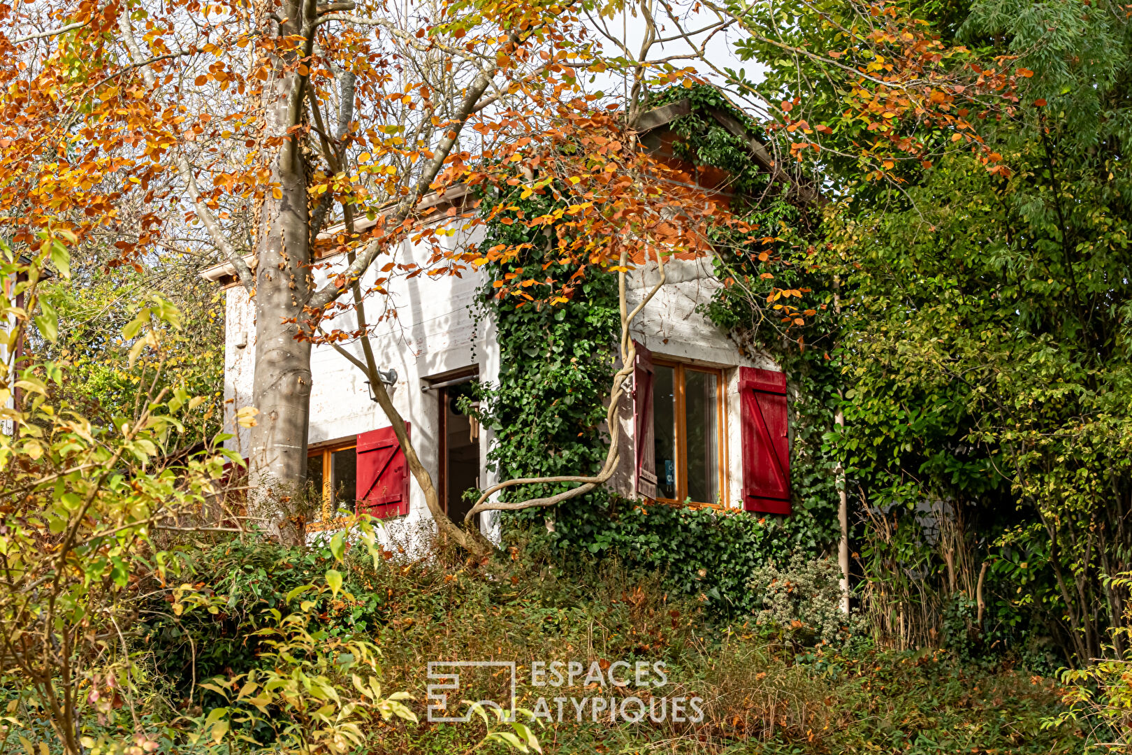 House with contemporary extension on an island and its wooded garden