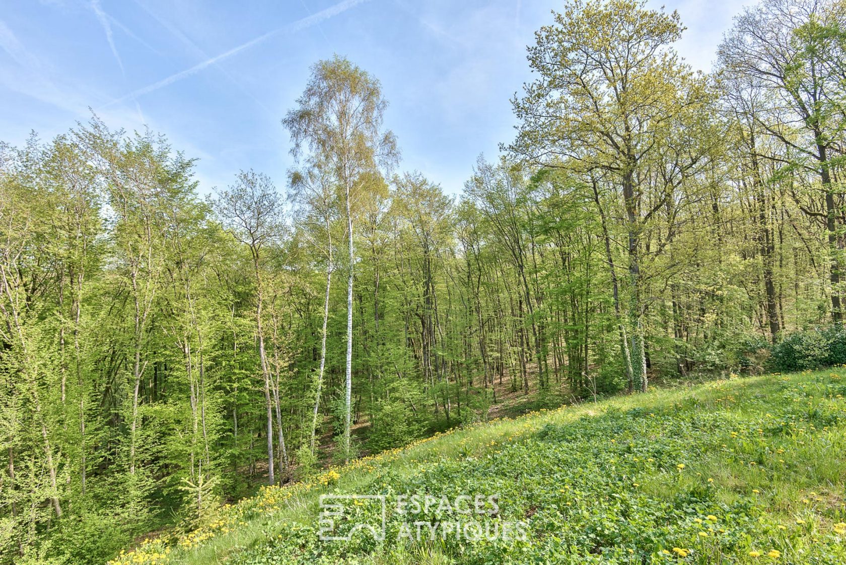 Maison d’architecte avec vue impressionnante surplombant la forêt