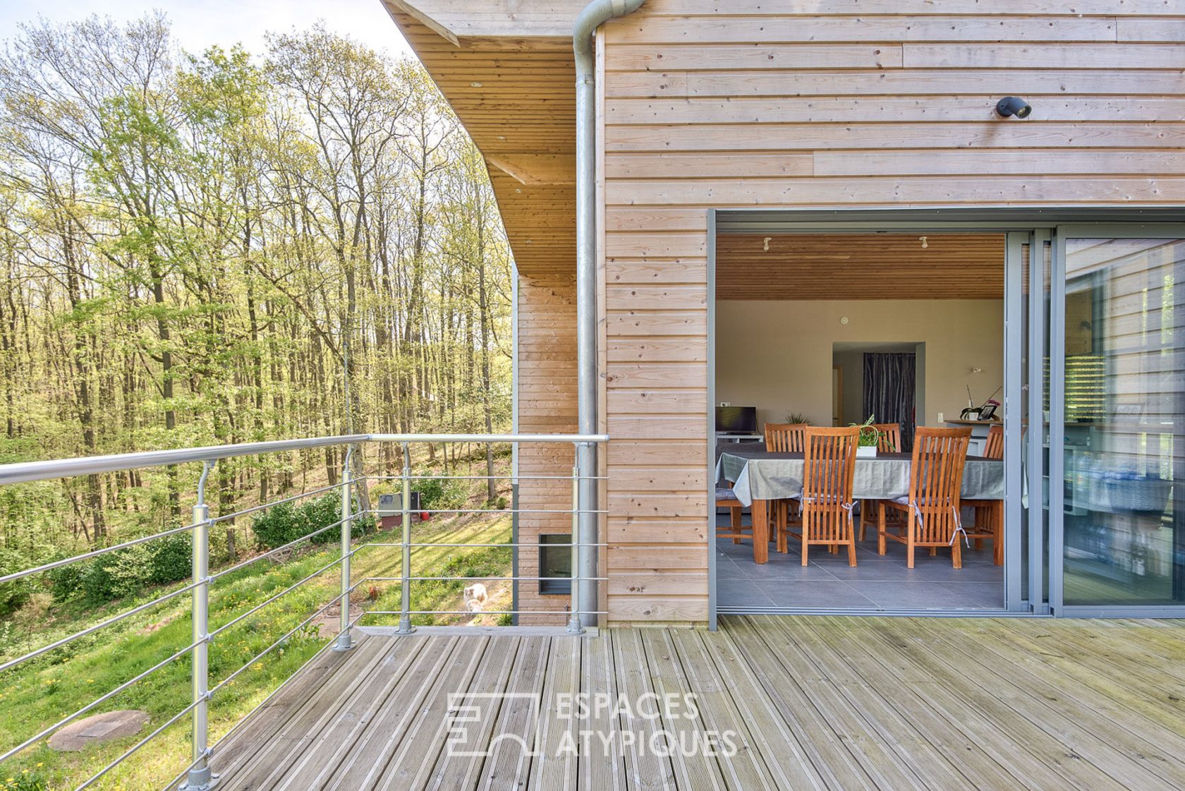 Maison d’architecte avec vue impressionnante surplombant la forêt