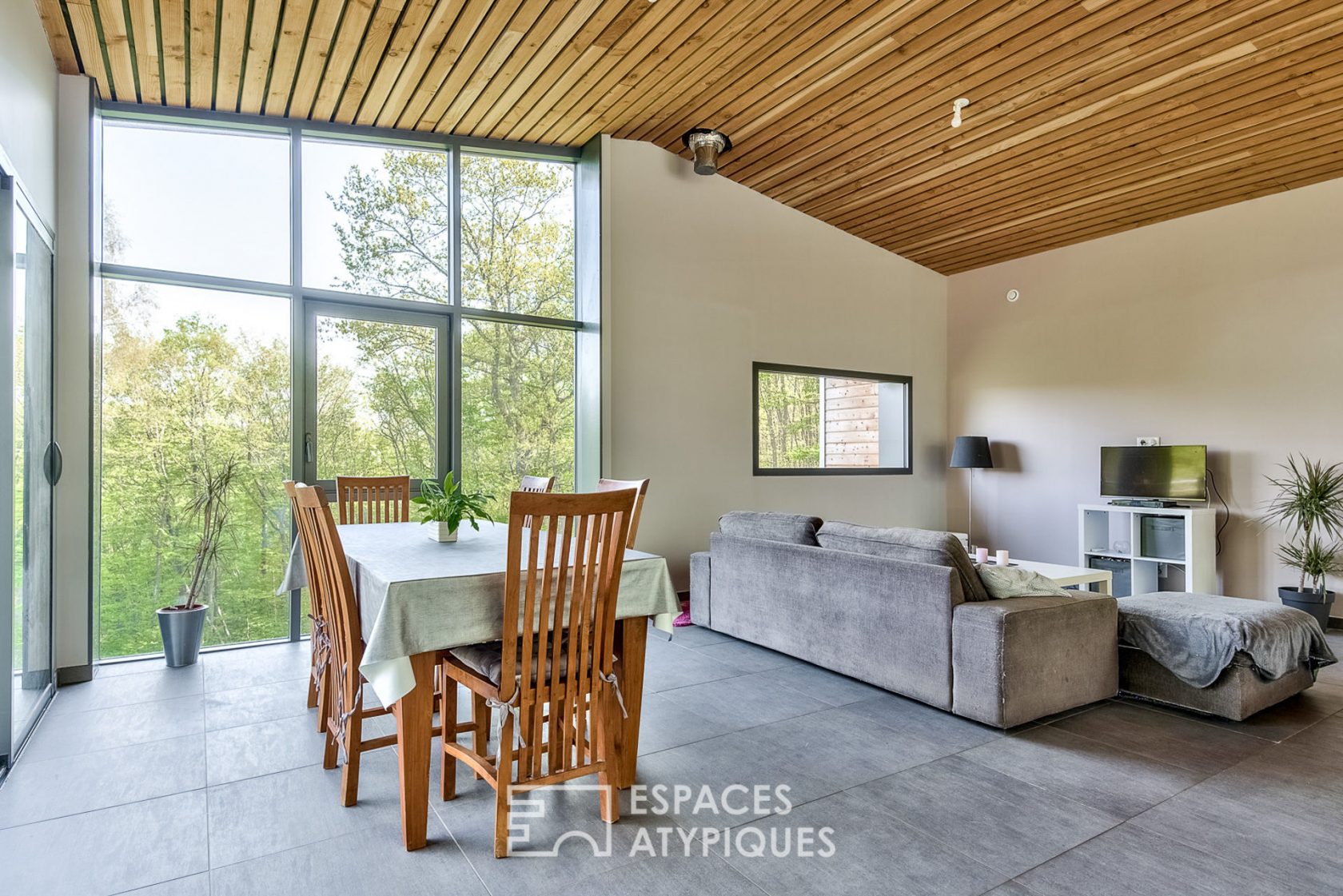 Maison d’architecte avec vue impressionnante surplombant la forêt