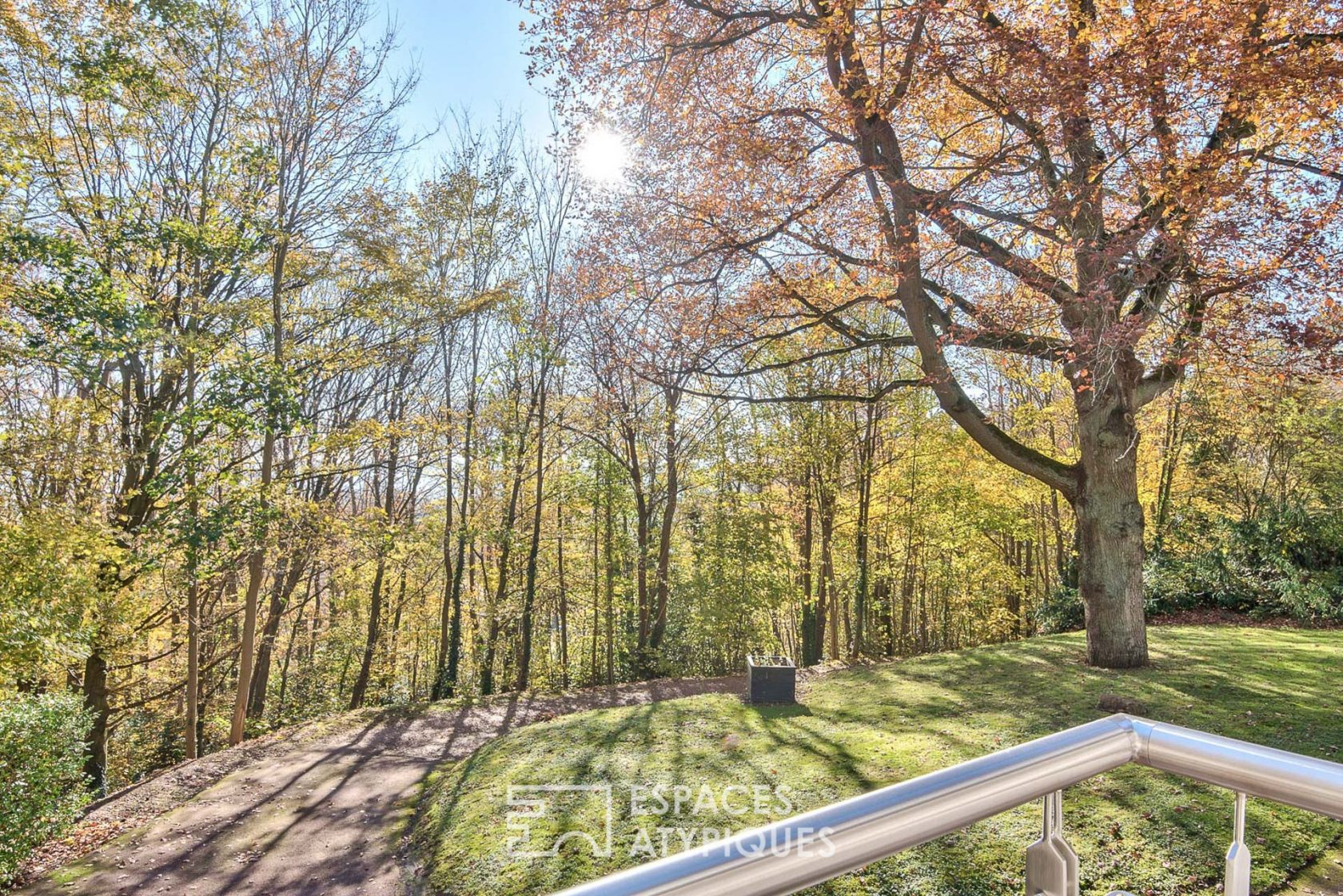 Contemporary house wood cladding forest view