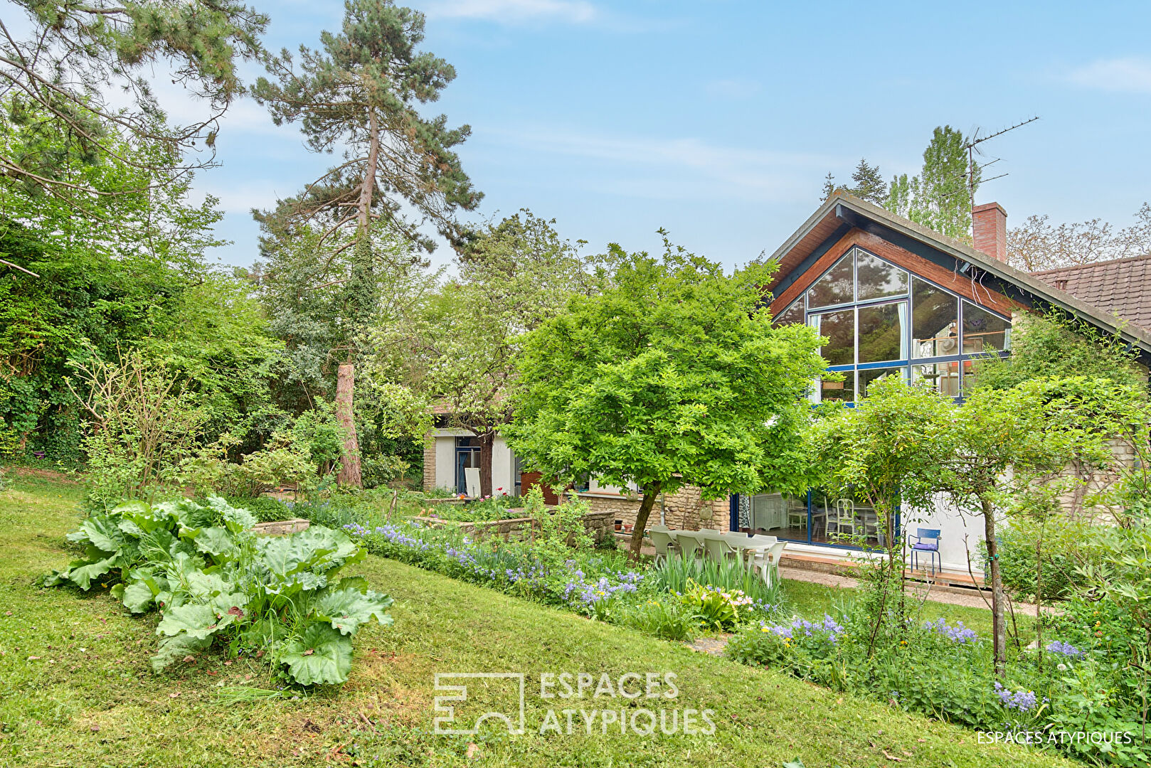 Bright house with a view
