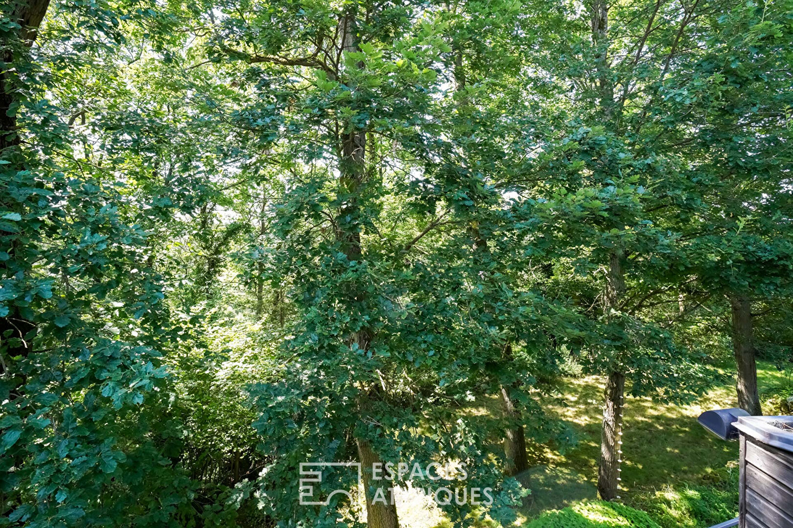 “Passive” A-rated architect-designed house, nestled in its wooded garden