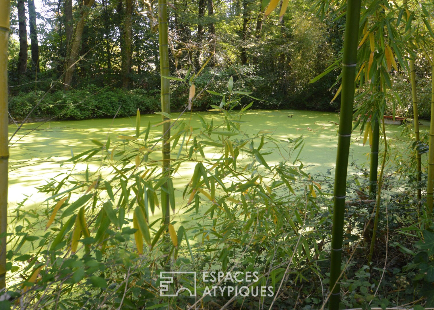 Propriété du XIX ème Siècle de 300m² environ et sa maison de gardien de 160m²