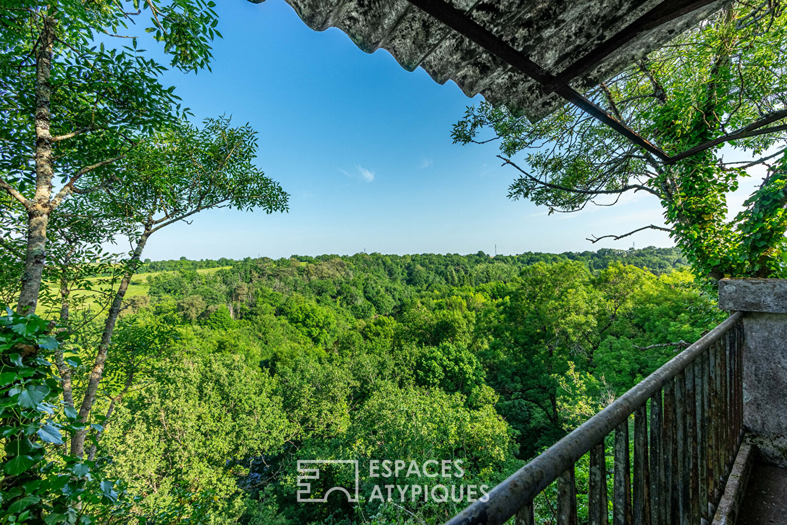 In Saint-Fiacre-sur-Maine, the discreet elegance of a life between vines and light.
