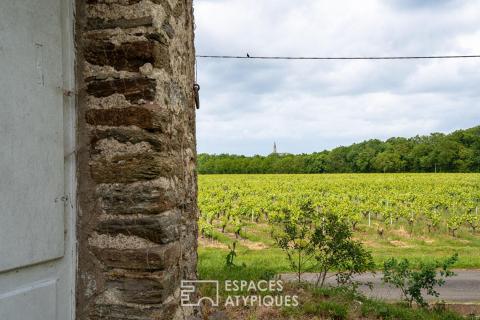 Belle parcelle avec panorama à 360° et ancien moulin à vent