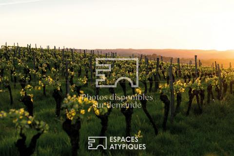 L&rsquo;Art de Vivre Éco-Architectural entre vignoble et Loire
