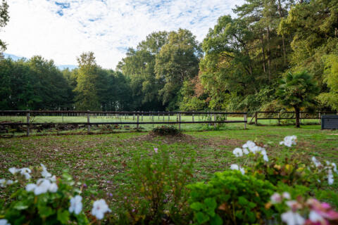 Maison de maître de 1848, dépendances et piscine couverte sur 6,75 hectares