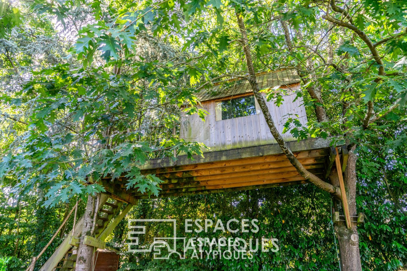 Maison d’architecte dans son écrin de verdure