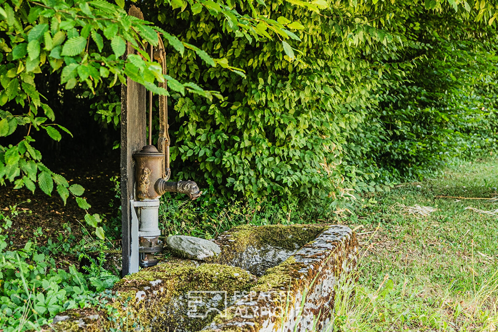 Maison de maître et son parc arboré sur la vallée de la Bourbre