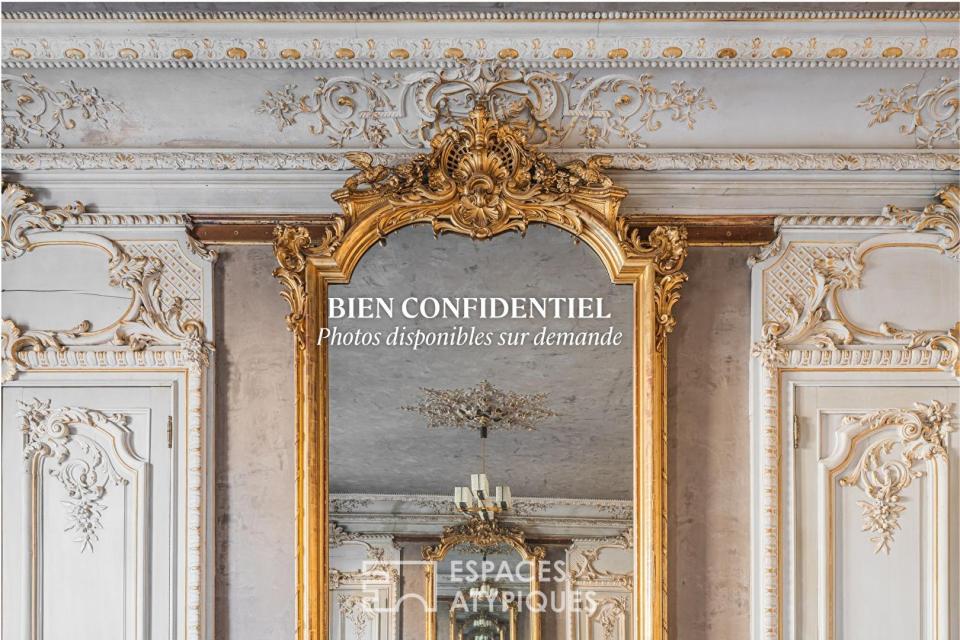 Superbe appartement style haussmannien avec vue Bastille et Vercors