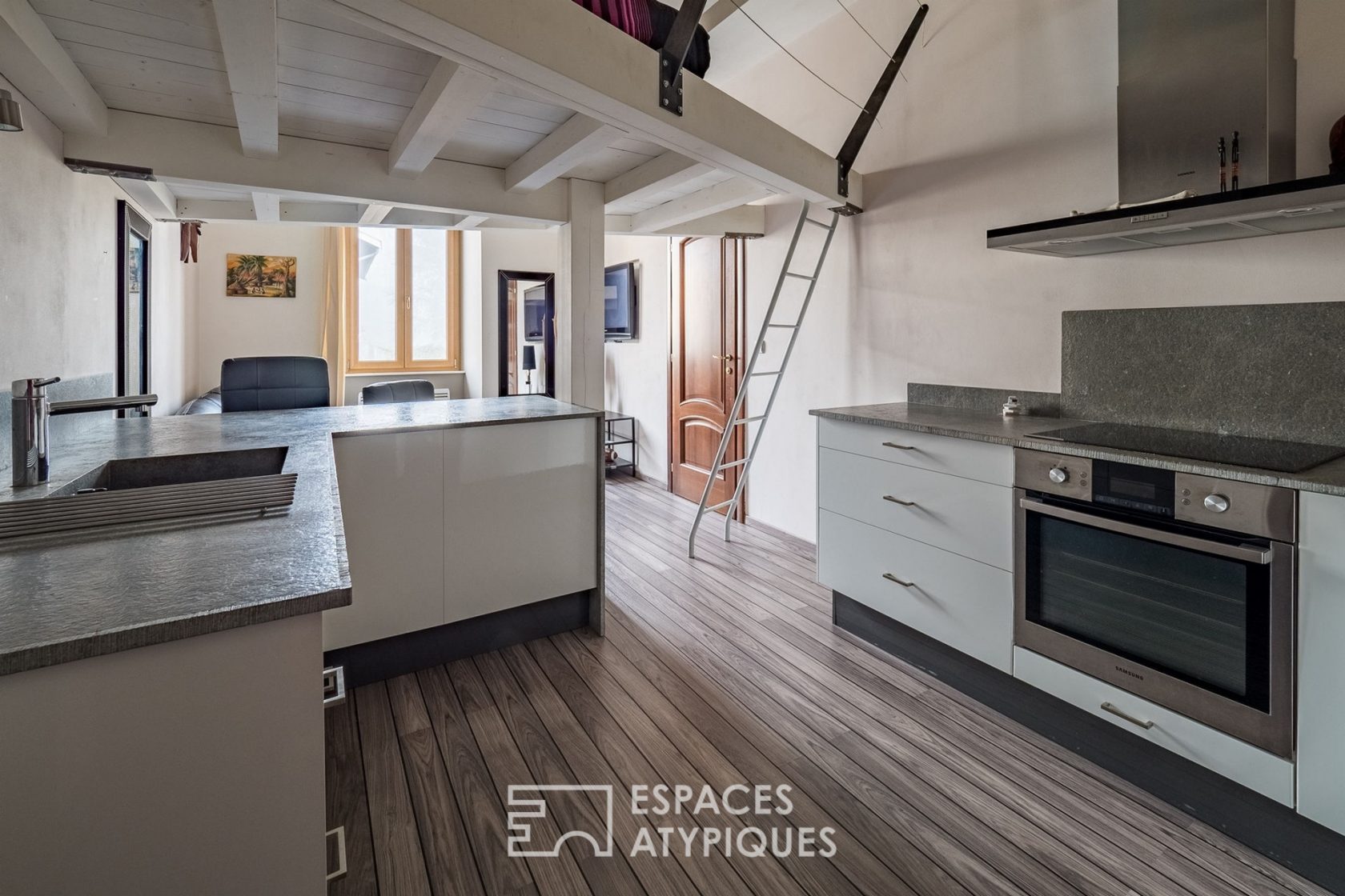 Renovated apartment in La Terrasse
