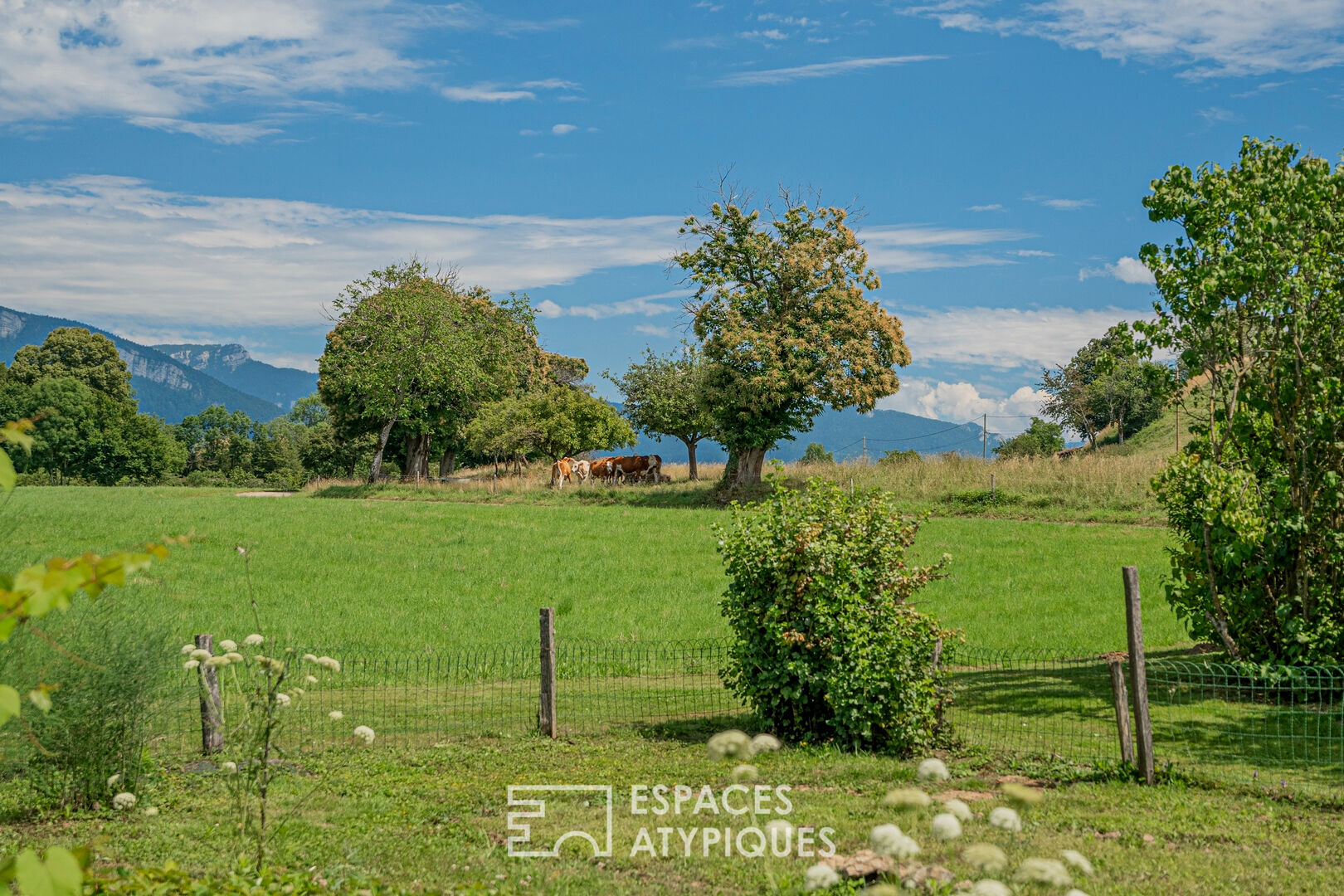 Propriété de charme en Chartreuse
