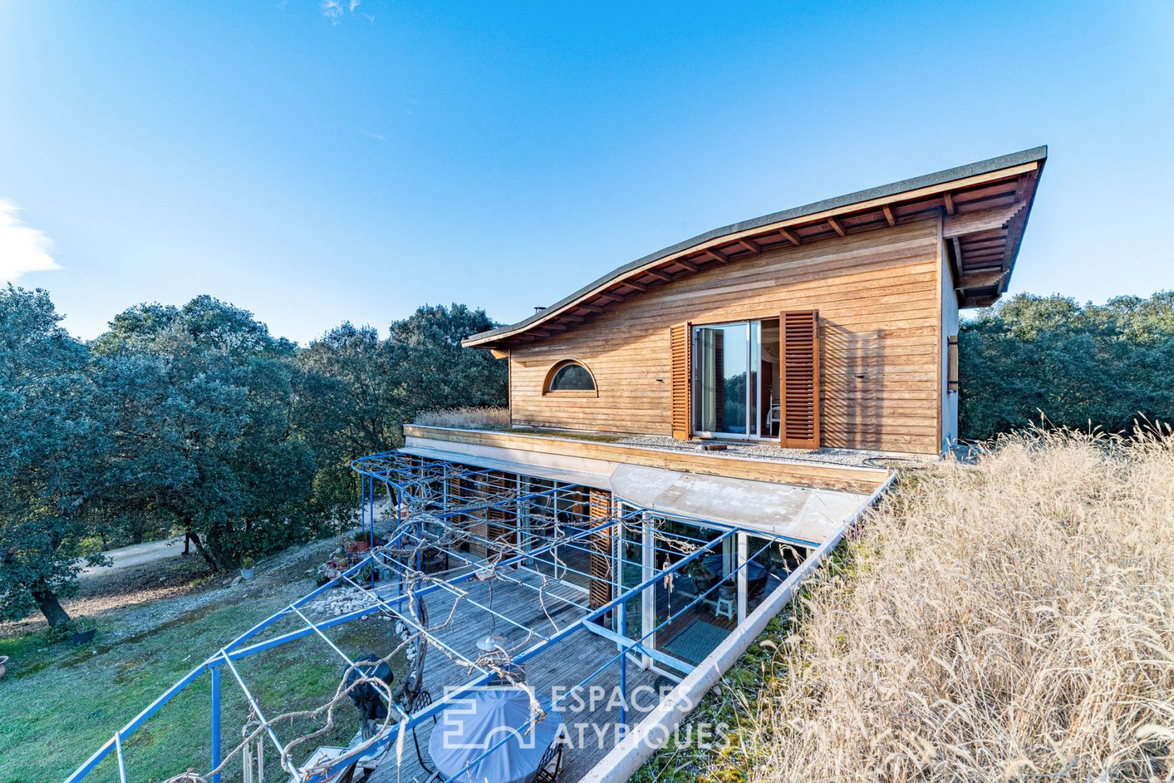 The house in the woods