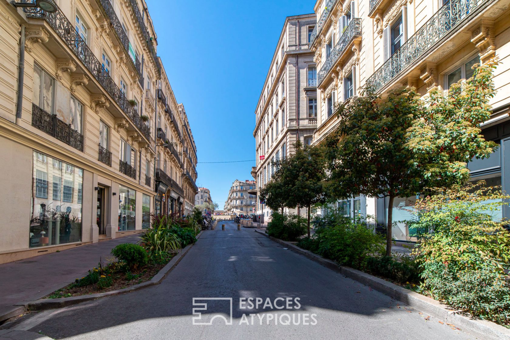 In the heart of the escutcheon: charming apartment