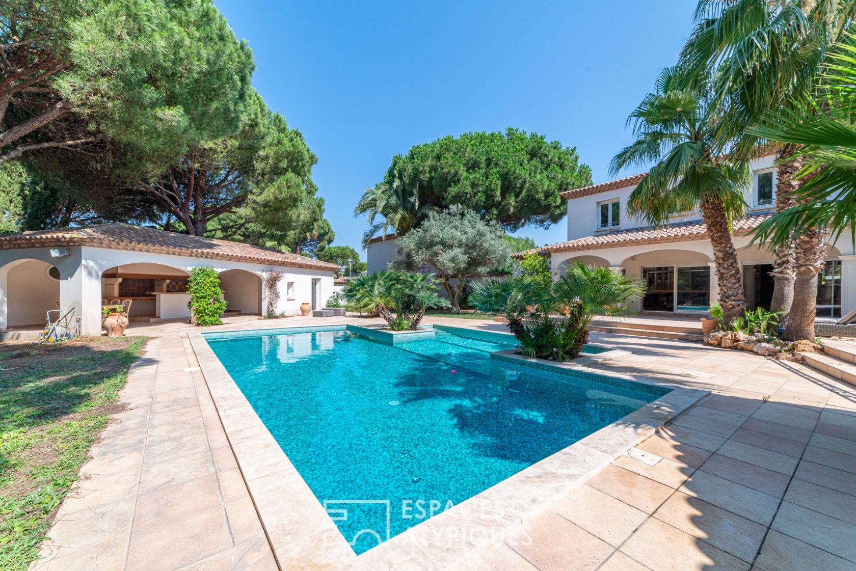 Magnificent property and its park of hundred-year-old pines