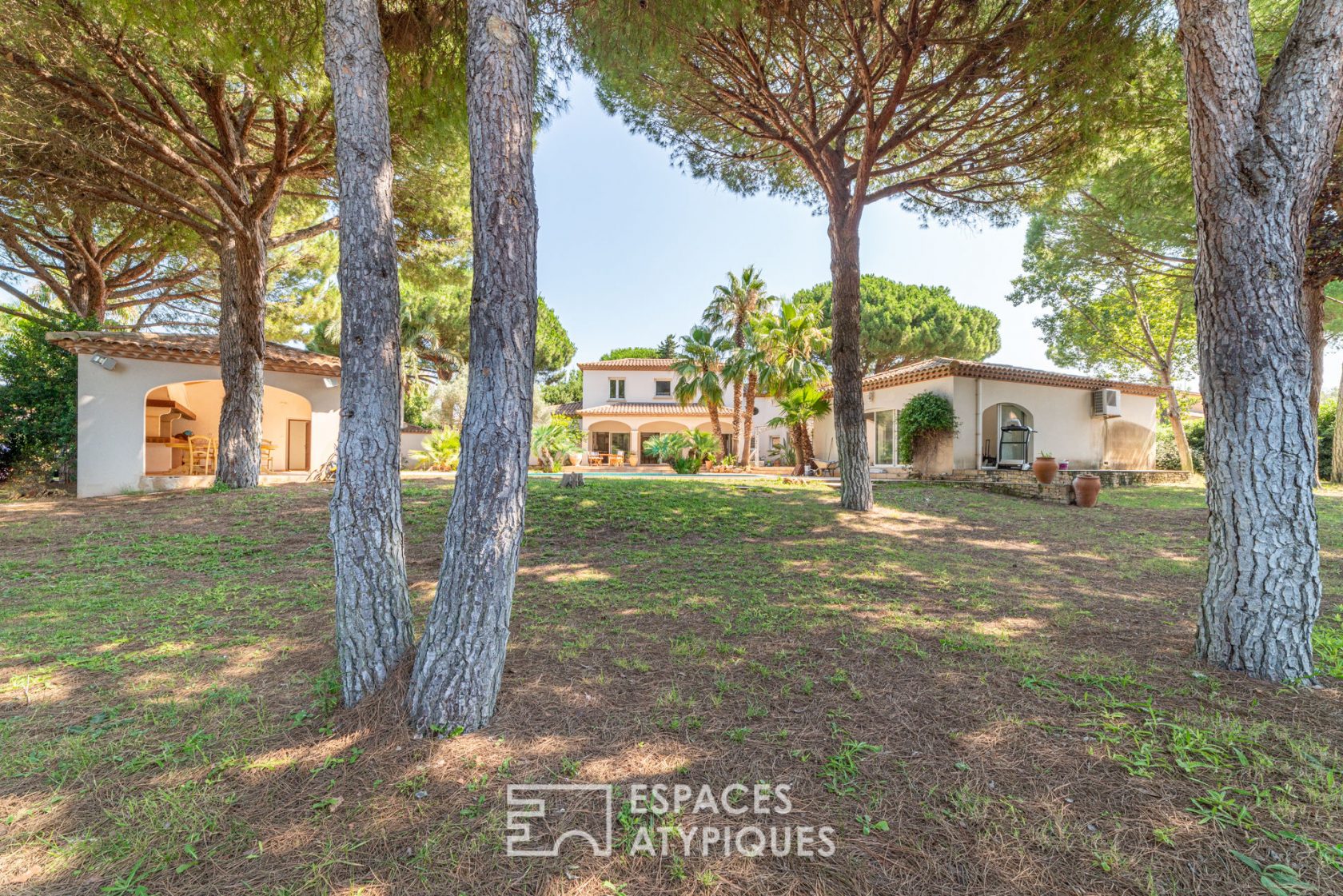 Magnificent property and its park of hundred-year-old pines