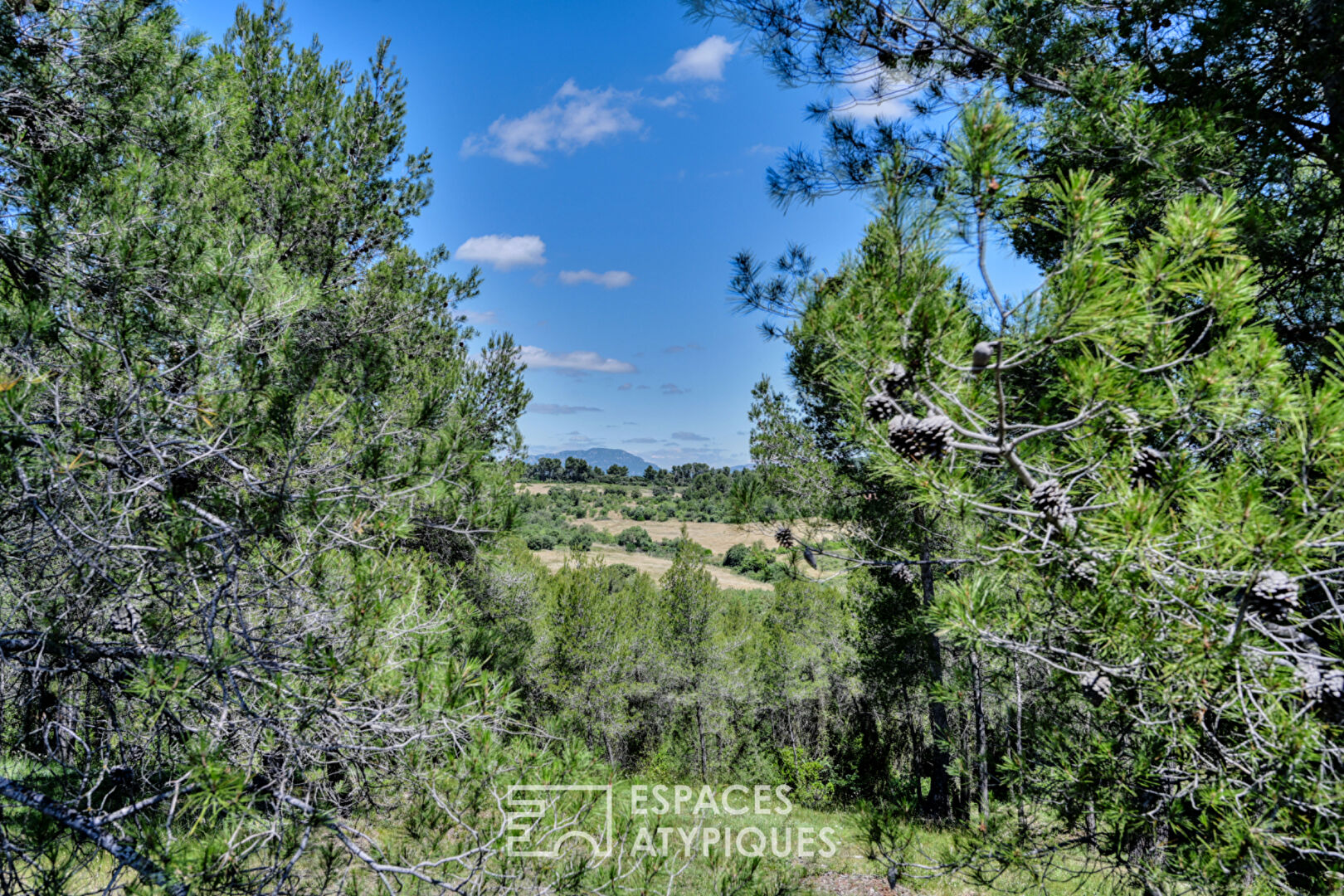 Maison d&rsquo;architecte confidentielle avec piscine, vue Pic Saint-Loup et potentiel multiple
