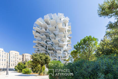 Apartment with a view and terrace in the White Tree