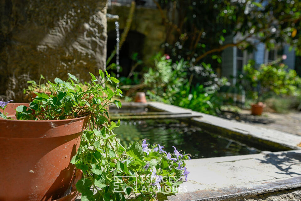 Belle provençale  et son commerce au coeur de Saignon
